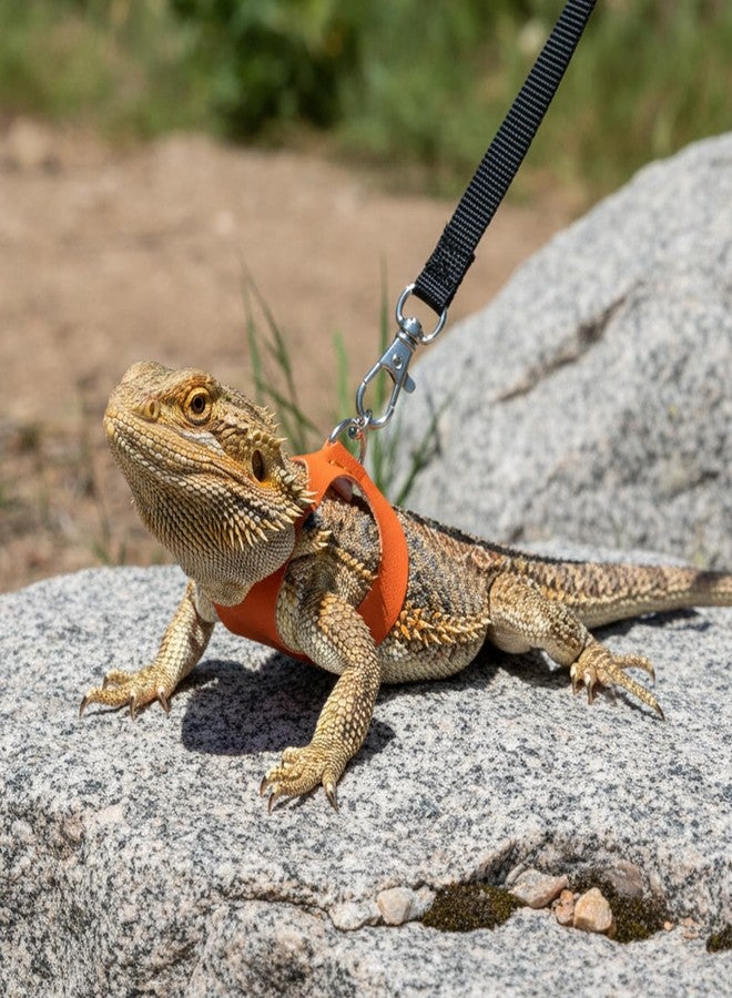 Xyembu Adjustable Bearded Dragon Harness and Leash Set 3 Size Soft Leather Reptile Vest with Traction Rope for Lizards Squirrels Small Animals Outdoor Walking (S, M, L) - Image 3